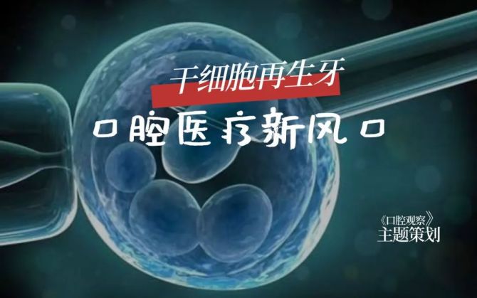 干细胞再生牙口腔医疗新风口