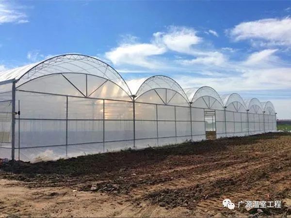薄膜温室贵不贵,一亩地温室大棚需要花多少钱?
