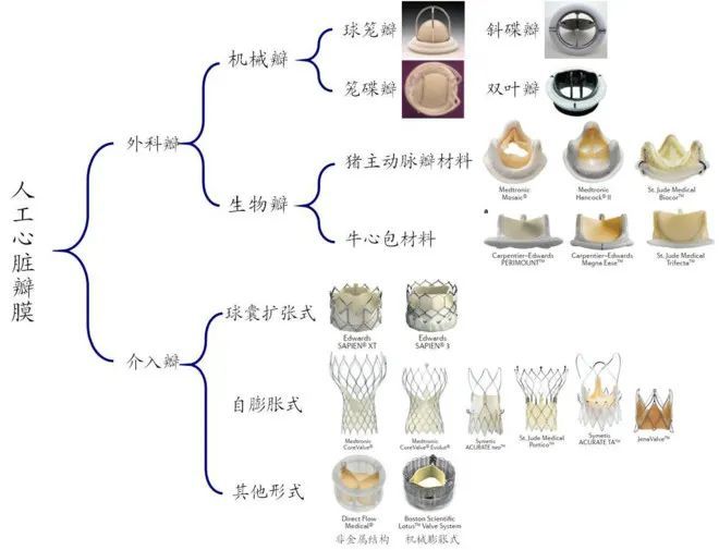 肆市场竞争情况国内人工瓣膜厂商一览国际三巨头 爱德华 edwards