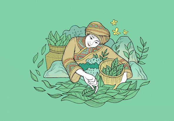 这样的插画风茶叶包装设计,让你"品"出精致感!