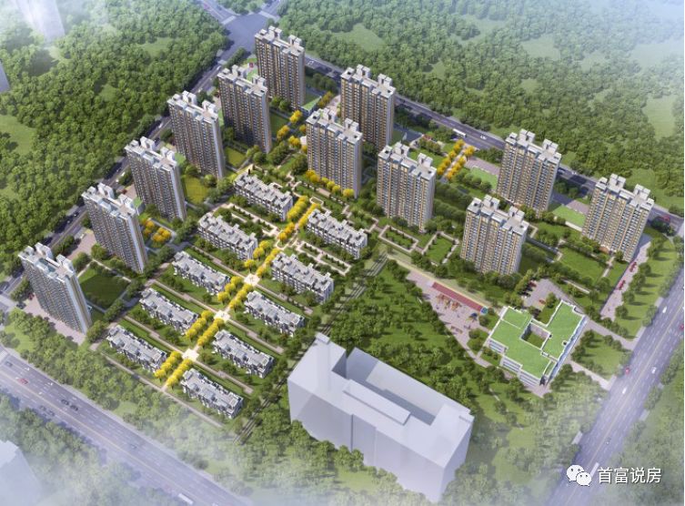 青岛西海岸新区实地集团蔷薇国际明白纸