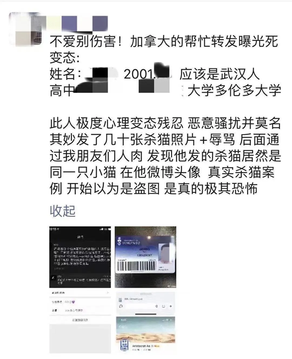 新知达人, 多大中国留学生残忍虐猫!直播开肠破肚,群发血腥图片!