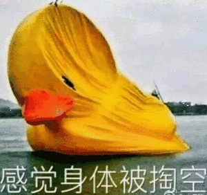 300_282gif 动态图 动图
