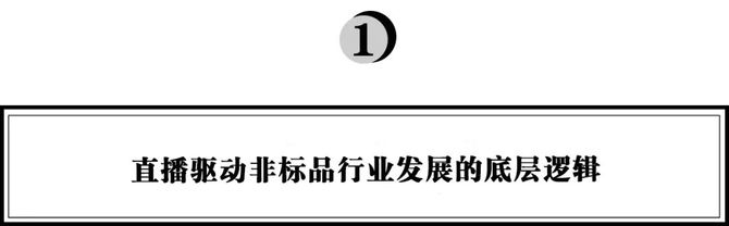 红布林徐薇:直播如何驱动非标品行业成长?