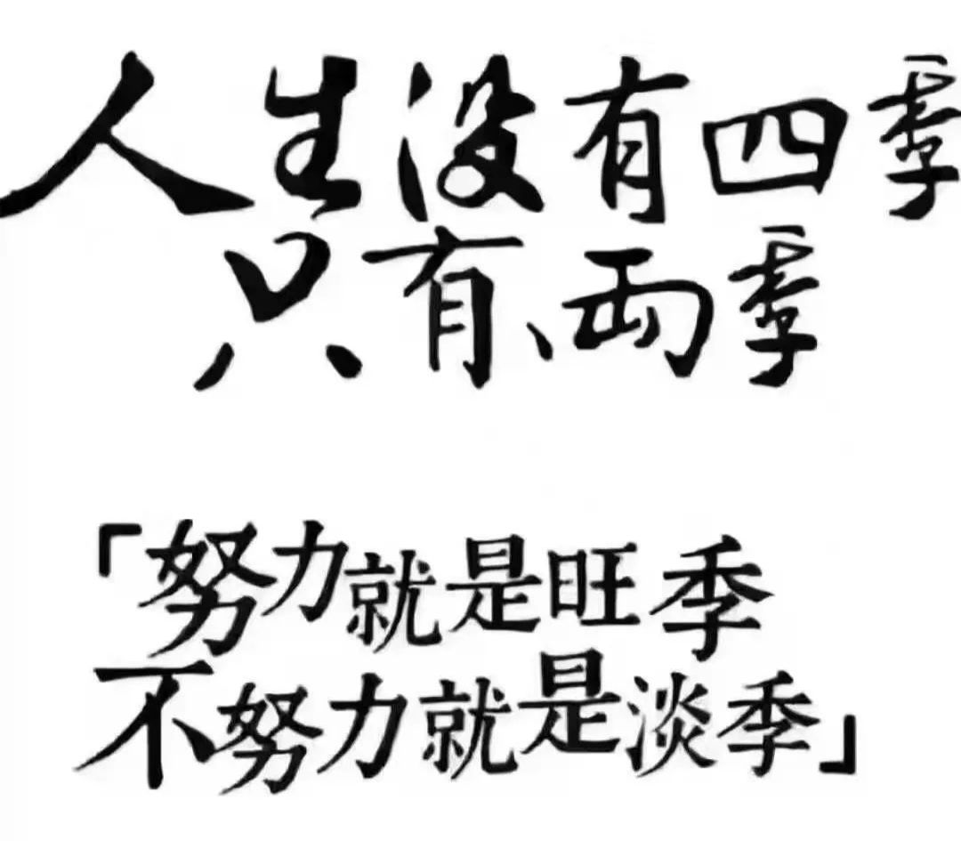 淡季还是旺季这个寒假培训机构校长在干嘛