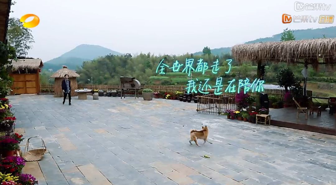 《向往的生活》第五季收官,留下了这些温暖治愈的文案