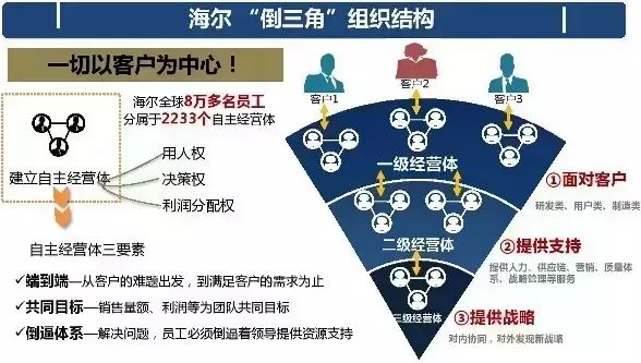 架构阿米巴组织与海尔倒三角组织对比思考