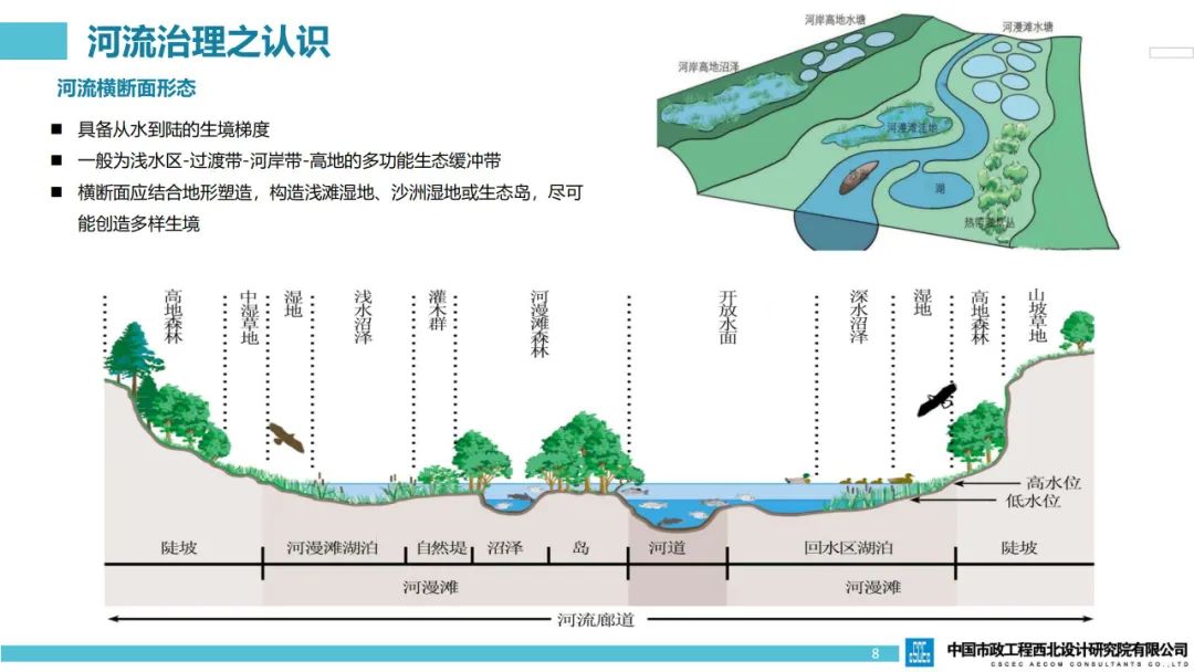 河流廊道生态再生与形态重塑—以北方某多泥沙河流综合治理设计实践