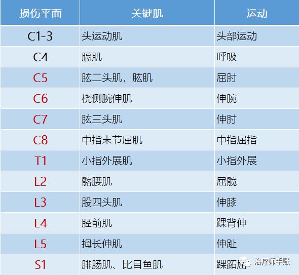 脊髓损伤平面