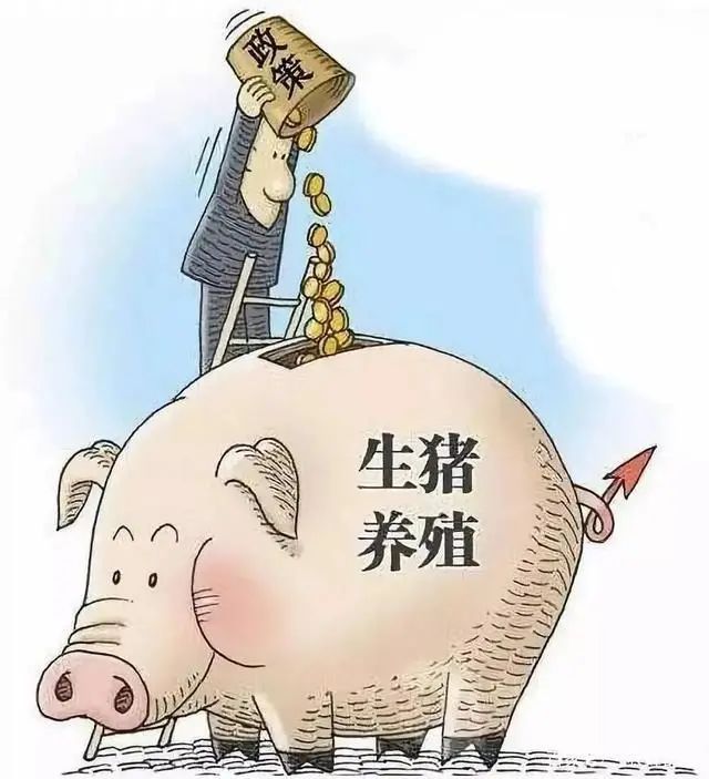 最高可达80万国务院生猪养殖连续严重亏损3个月时可对规模养殖场给予