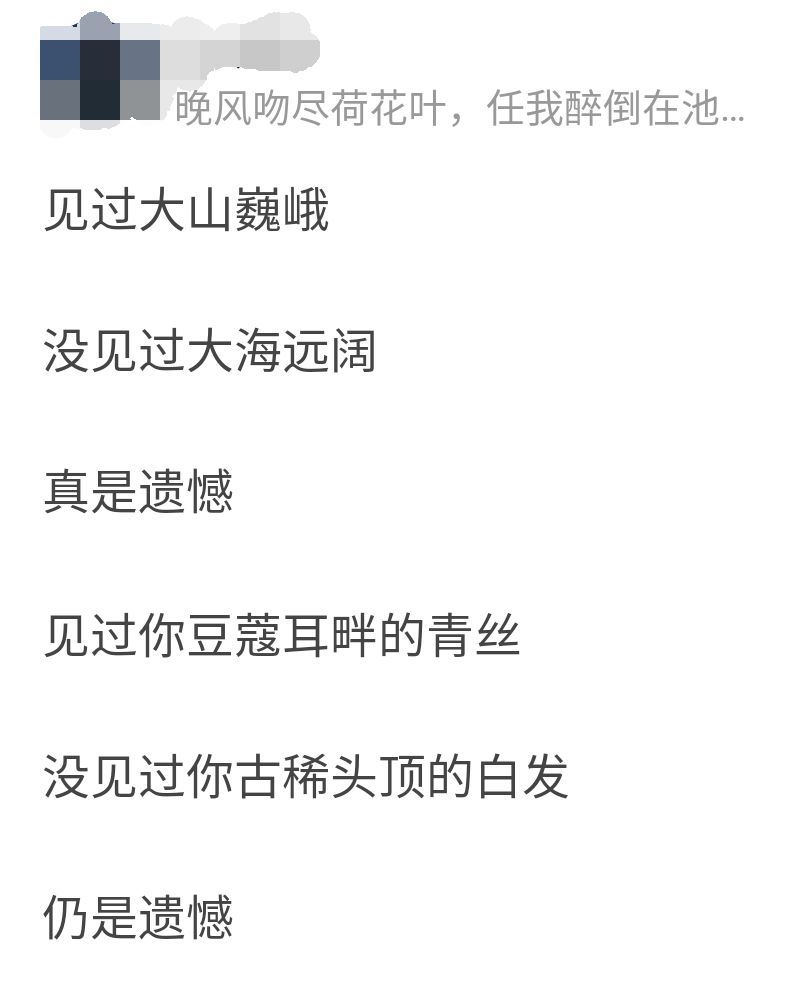 宋慧乔离婚,范冰冰分手,网友的文案可以学一下