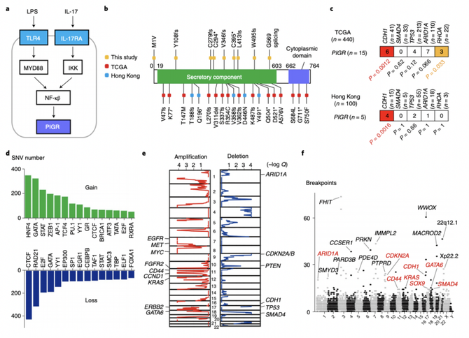 naturecancer结合wgsrnaseqdna甲基化的多组学分析揭示胃癌腹膜转移