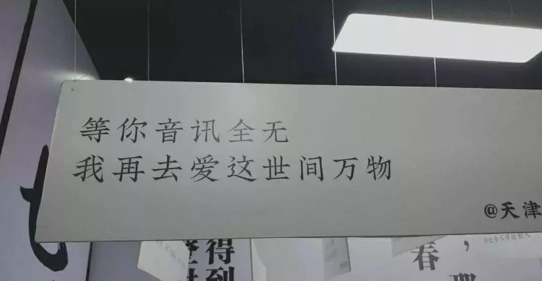 宋慧乔离婚,范冰冰分手,网友的文案可以学一下