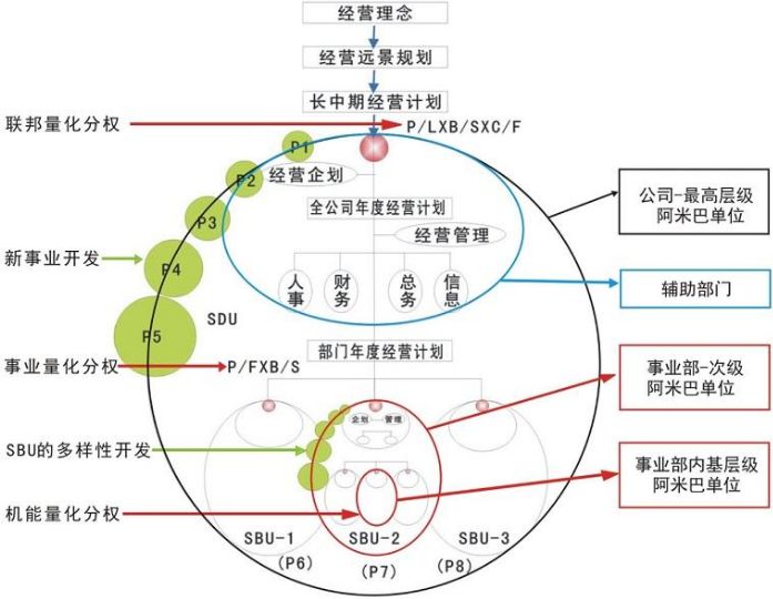 阿米巴组织结构是什么样的?