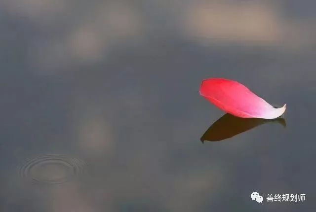 当你看淡一切后,活着就不累了!