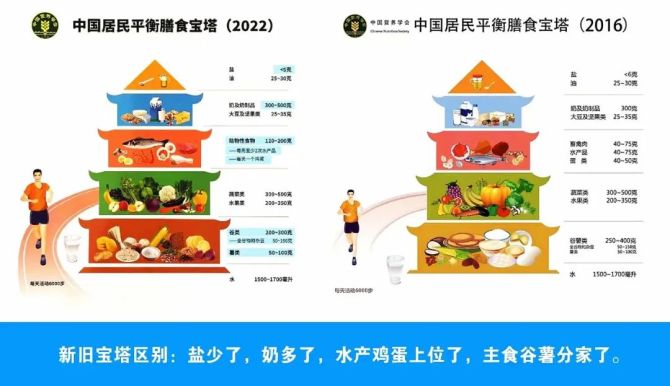 解读2022新版中国居民膳食指南
