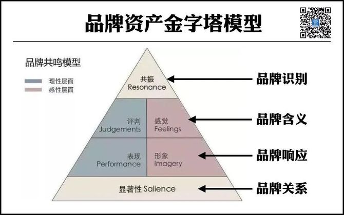 品牌资产金字塔模型:小米与锤子品牌建立的不同路径