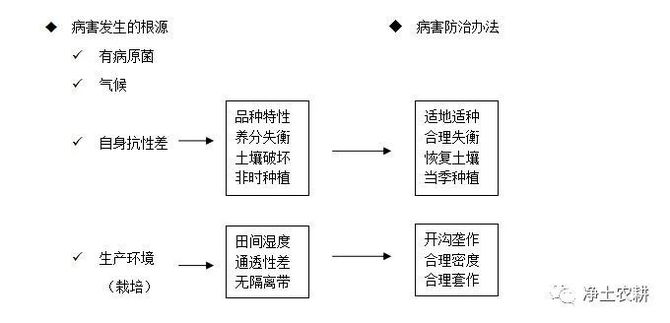 【深度分析】什么是生态农业？如何发展生态农业？一篇文章讲明白PG电子平台(图12)