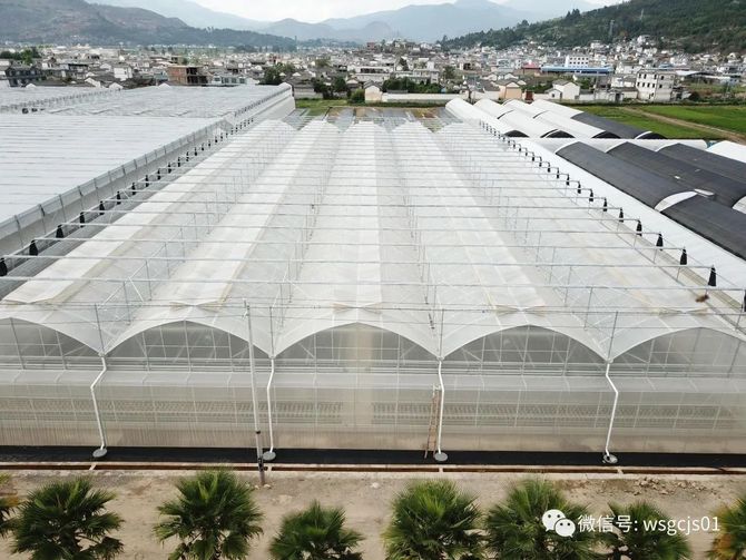 标准型8430薄膜连栋温室大棚设计建造注意事项 薄膜大棚造价 温室工程技术 商业新知 标准型8430薄膜连栋温室大棚设计建造注意事项 薄膜大棚造价 温室工程技术 商业新知