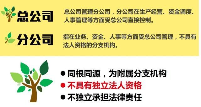 一张图看懂母公司和子公司,总公司和分公司