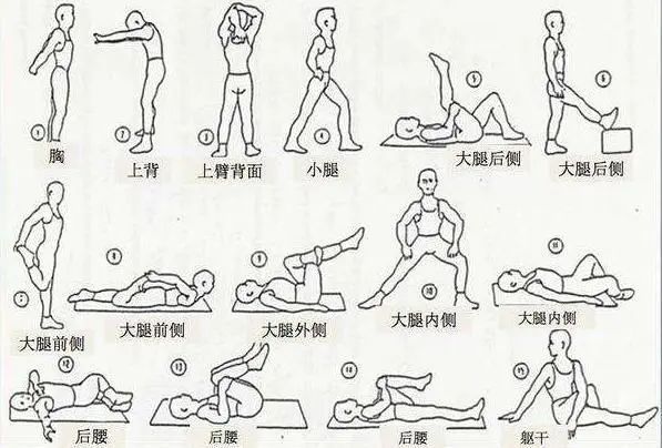 所以,日常要保持身体健康,要勤做拉筋的动作.
