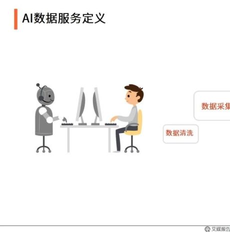 2020年中国AI数据服务专题研究报告