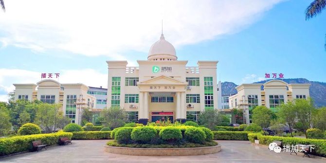 梁达, 新型电商业态——播加5G全球网红直播基地