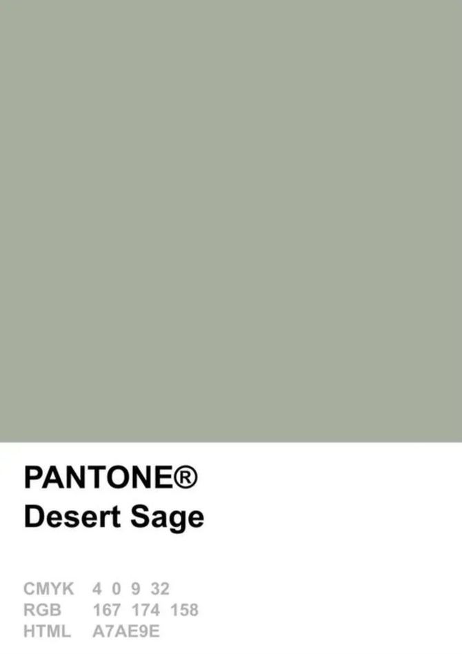 22春夏流行色研究室 Desert Sage Color 费雷先生 商业新知