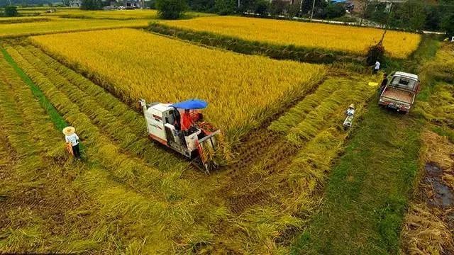 三農日報|我國將對返鄉農民工實施創業補貼;智慧農業是農業生產的高級