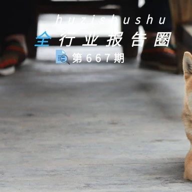 2020年中国宠物消费市场分析报告