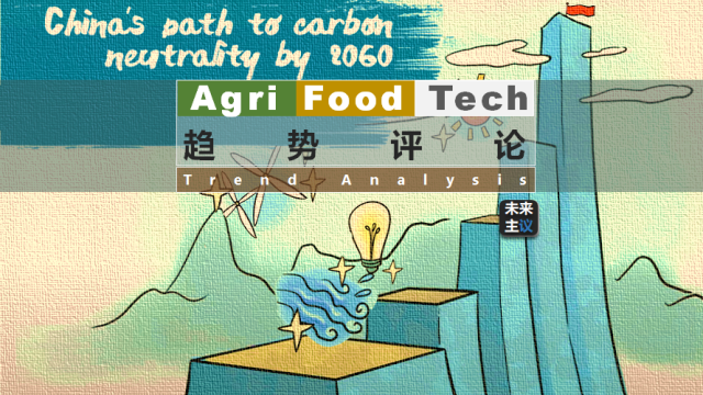 中国碳中和承诺后，推动绿色农业与低碳食品创新的大风将至？