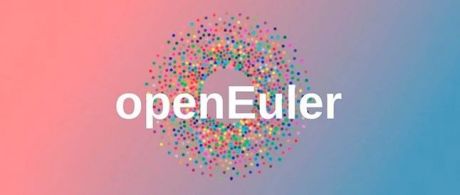 仅用一年即成中国最具活力的开源社区，openEuler何以破局？