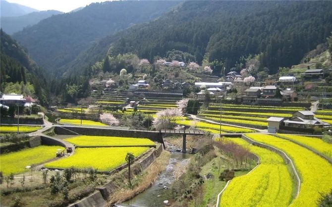 國際視角鄉村發展沒優勢看看人家日本怎麼搞