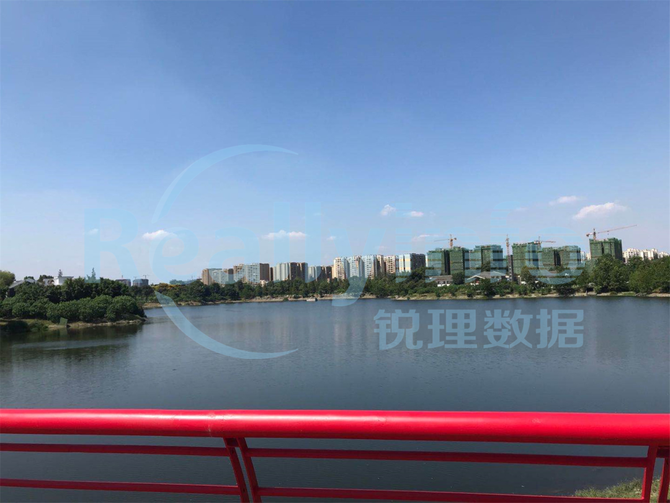 实探担当双流新中心杨柳湖版块走对了两步棋