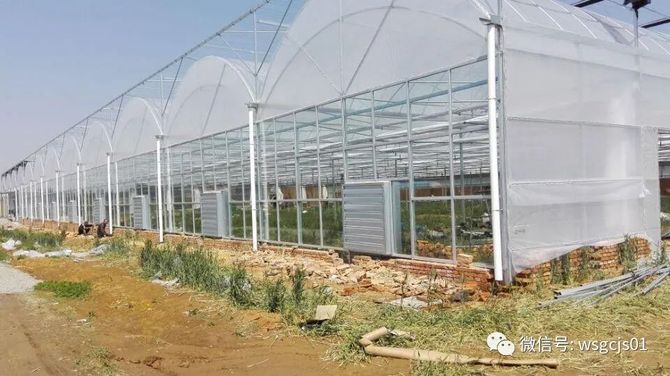 标准型8430薄膜连栋温室大棚设计建造注意事项 薄膜大棚造价 温室工程技术 商业新知 标准型8430薄膜连栋温室大棚设计建造注意事项 薄膜大棚造价 温室工程技术 商业新知