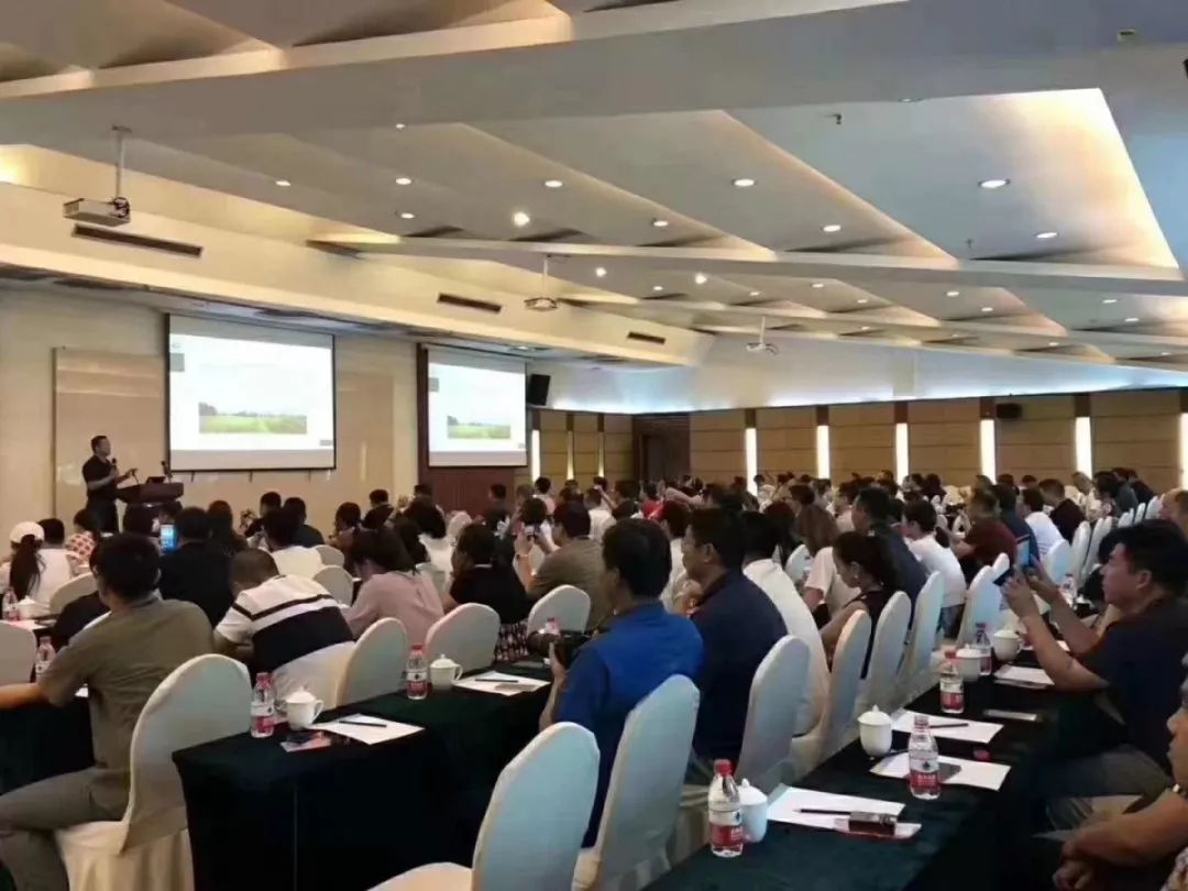 新知图谱, 地产洗牌前夜:有人疯狂抢地,有人冷眼旁观