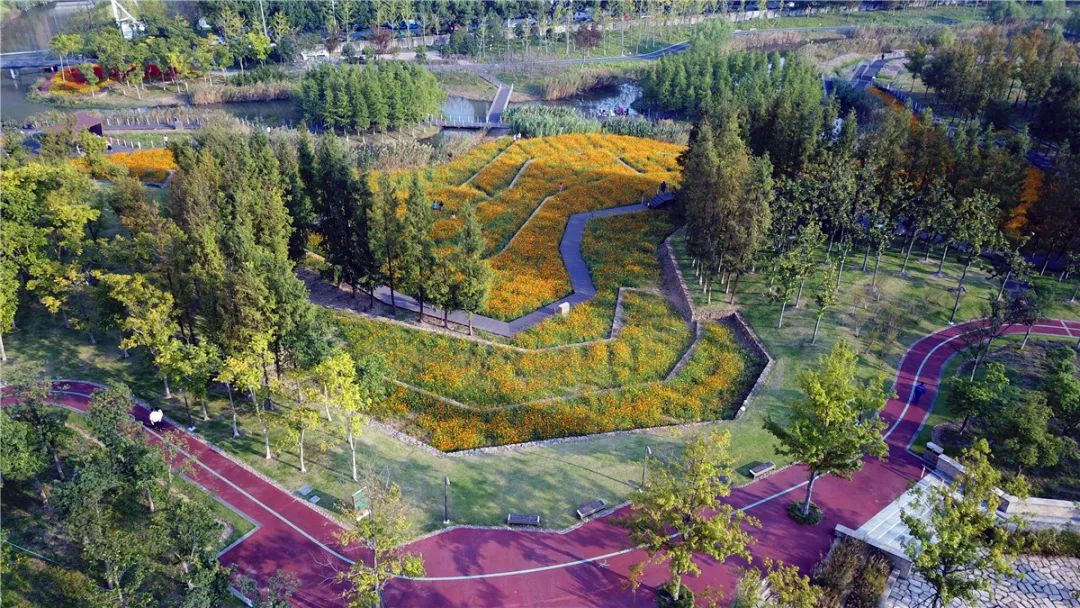 土人網紅溼地公園一覽每個都自出新意