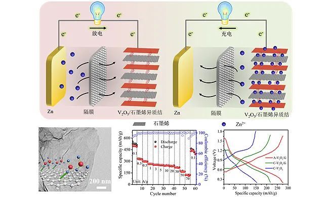 大連化物所利用釩基二維異質結材料構建高性能鋅離子電池