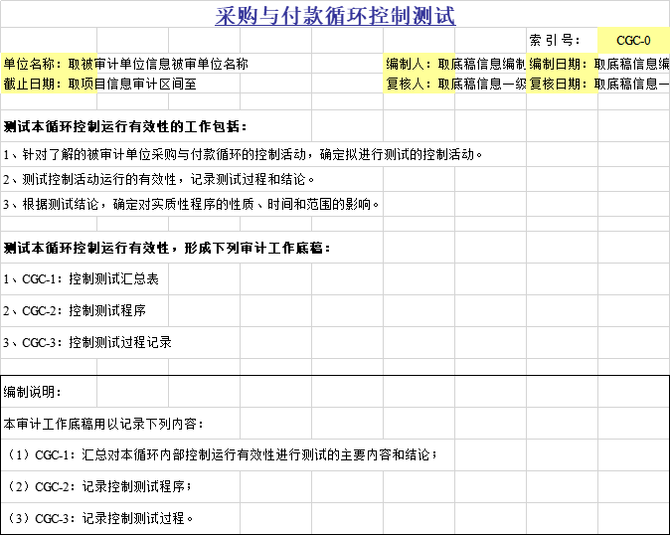 底稿5套四大審計底稿資料集審計必備