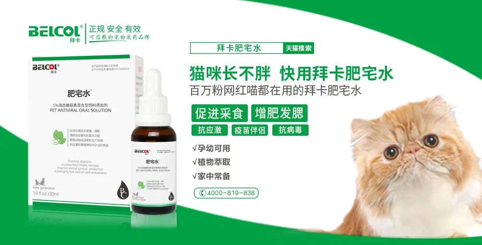 新品 一款风靡猫圈的网红肥宅水_宠业家-商业新知