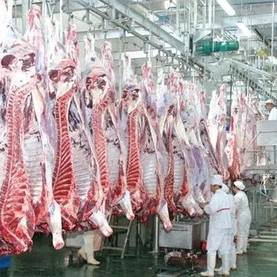 【政策解读】农业农村部：鼓励在生猪养殖主产区新建屠宰优势产能