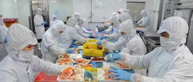 虾行业爆发“大地震”！厄瓜多尔关闭工厂，印度封城，越南缺乏冷库，下半年虾价要涨？