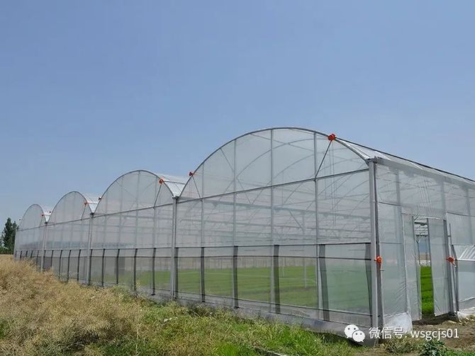 标准型8430薄膜连栋温室大棚设计建造注意事项 薄膜大棚造价 温室工程技术 商业新知 标准型8430薄膜连栋温室大棚设计建造注意事项 薄膜大棚造价 温室工程技术 商业新知