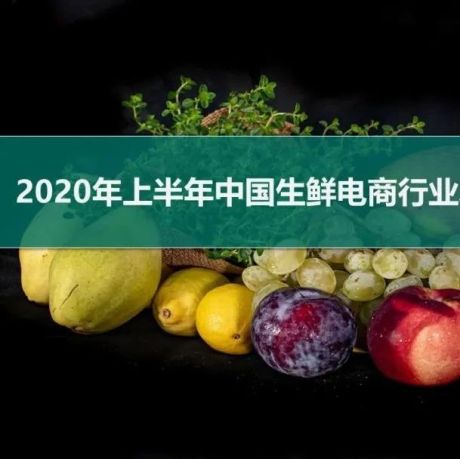 2020年上半年中国生鲜电商发展分析报告