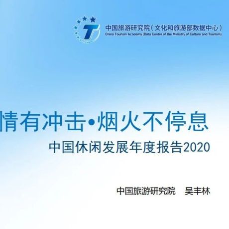 2020年中国休闲发展年度报告