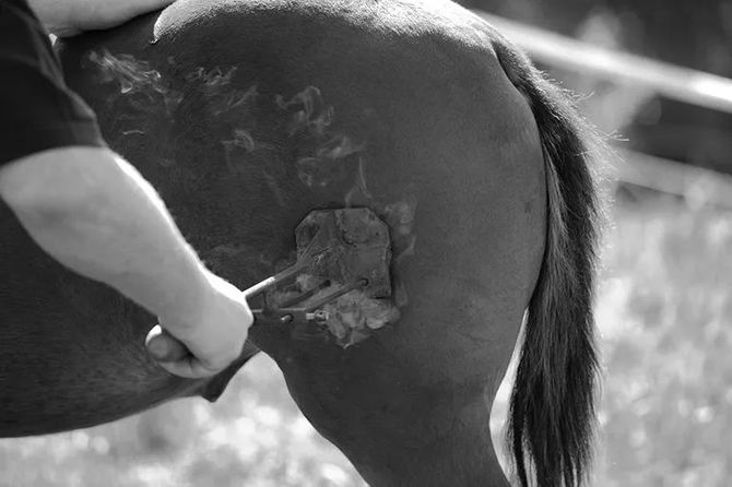 新知达人, 中小餐饮店为什么要做餐饮品牌策划与设计,从0打造"餐饮