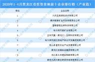 2020年1-4月黑龙江省投资拿地前十企业排行榜