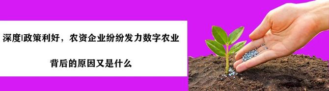 新知达人, 【视频】马云最新采访:年轻人送快递没什么不好