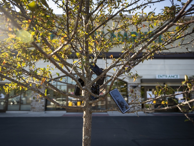 新知达人, 外卖骑手“困”在系统里，亚马逊快递员的手机“捆”在树上