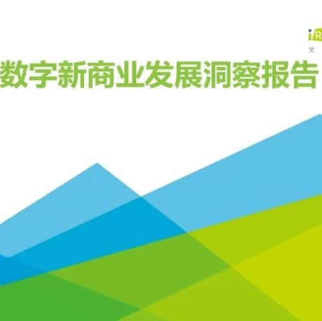35页PPT：2020年中国新零售行业数字化研究报告